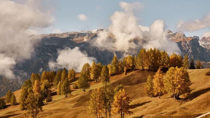 Chasing autumn: a map of Italian foliage from the Alps to Calabria