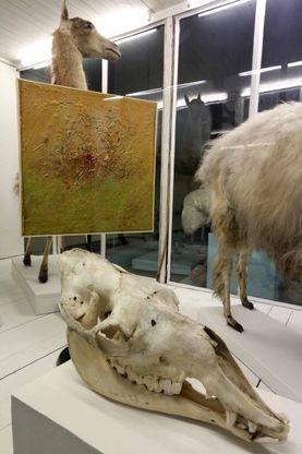 Quei "Quattro elementi" parlano d'arte con gli animali