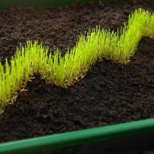 Quasi raddoppiata nel 2017 l'emissione di green bond