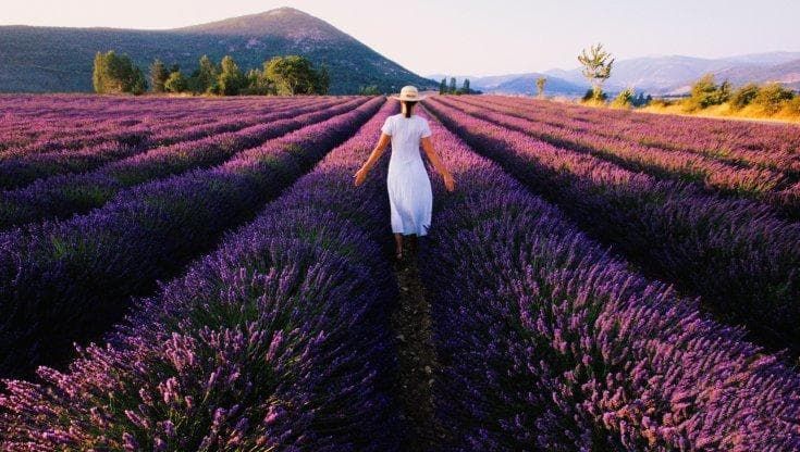 Tra i profumi e i sapori di una Provenza inondata dal sole