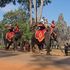 Angkor Wat. Niente più elefanti nel gioiello cambogiano