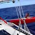 Soldini, collisione in oceano: 