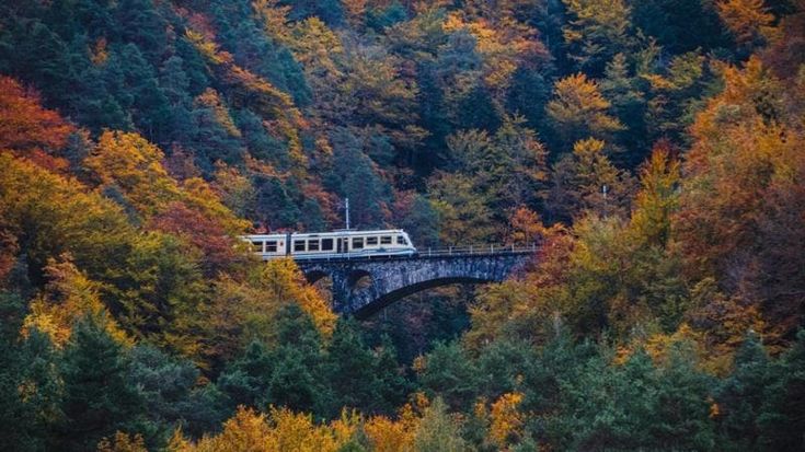 Sul treno del foliage tra magici colori e boschi dorati