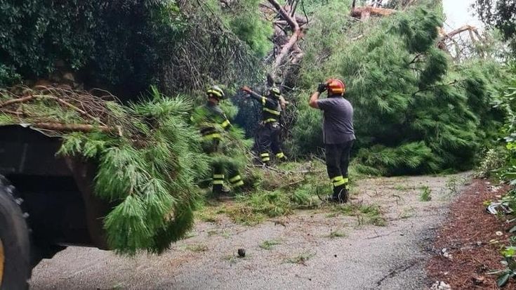 Maltempo, all’Elba cade un pino e frana un masso. I fiumi hanno superato il colmo di piena senza criticità. Riaperta l’Aurelia chiusa al traffico tra Toscana e Lazio per un allagamento