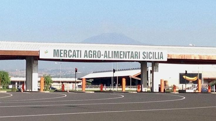La Regione Siciliana liquida i carrozzoni: in vendita le società in rosso