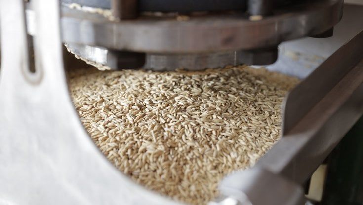 Dall'acqua di bollitura del riso nasce una nuova tintura naturale