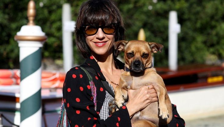 Star a quattro zampe in laguna: a Venezia Benny spopola sul red carpet