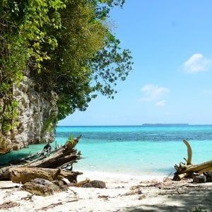 Palau vieta le creme solari: "Danneggiano la barriera corallina"  