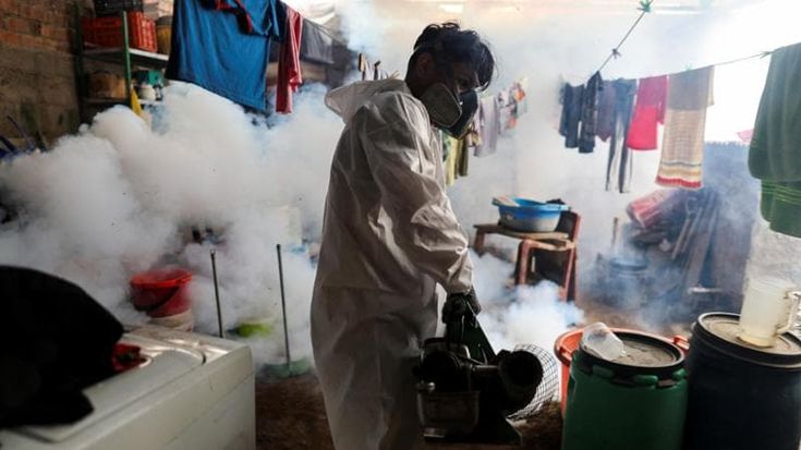 Dengue, nuova circolare del ministero per impedire l’arrivo in Italia della zanzara che la trasmette