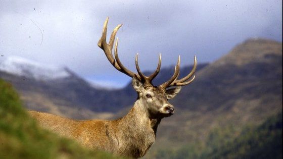 Fotografare la natura: si impara in Trentino  