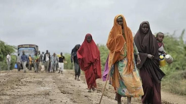 Etiopia, l’Oromia è l’altro fronte che preoccupa: “I miliziani saccheggiano e i civili scappano”