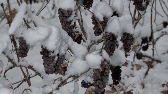 Quante storie in enoteca: cosa c'è dietro una bottiglia?