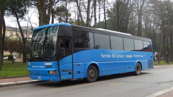Foggia, l'autobus è in ritardo: passeggero 23enne aggredisce l'autista a martellate in testa