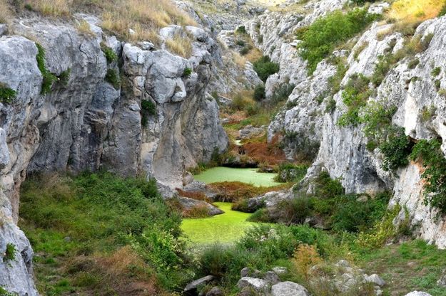 Bari, il mistero del torrente Gravina: l'acqua è diventata verde acido