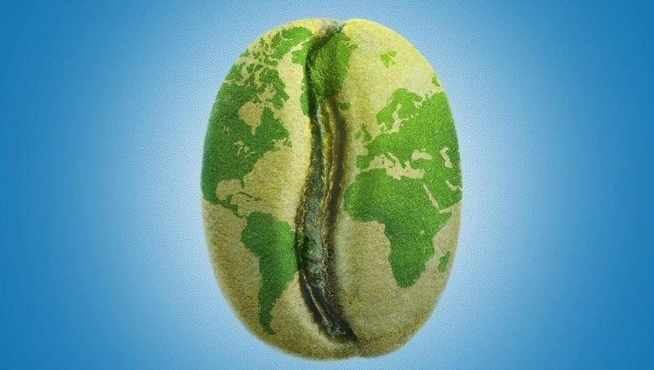 Buono, pulito e "giusto": Lavazza e Slow Food uniti per la sostenibilità del caffè