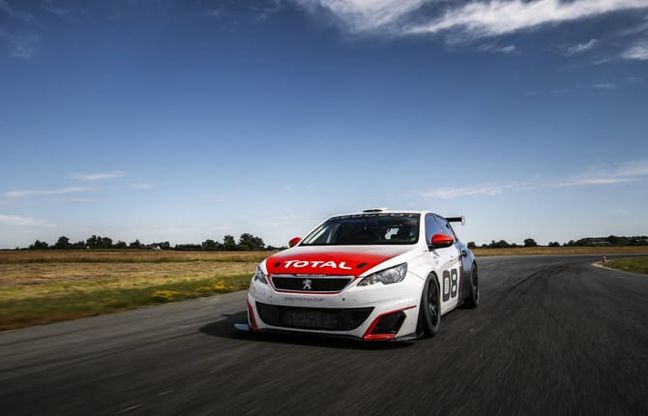 Peugeot 308 Racing Cup, l'auto da corsa a listino