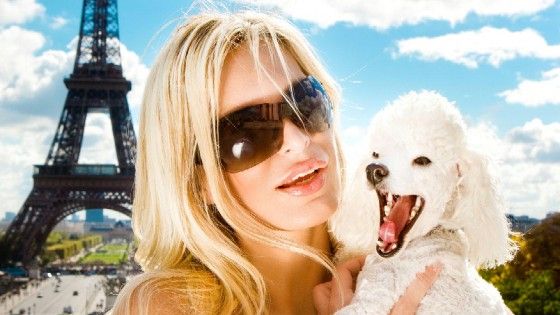"Diritti umani agli animali": la battaglia per cani e gatti degli intellettuali francesi 