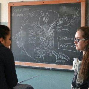 Arrivano le ripetizioni fai da te al Pertini. Studenti in cattedra e crollano le bocciature