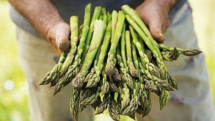 Asparagi a tavola: il detox di primavera parte così 