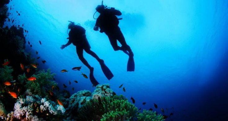 Cuore a rischio per i sub attempati e per chi &egrave;&nbsp;sovrappeso