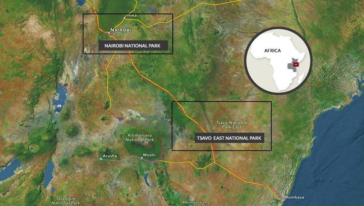 Kenya, 585 chilometri di binari nelle riserve nazionali 