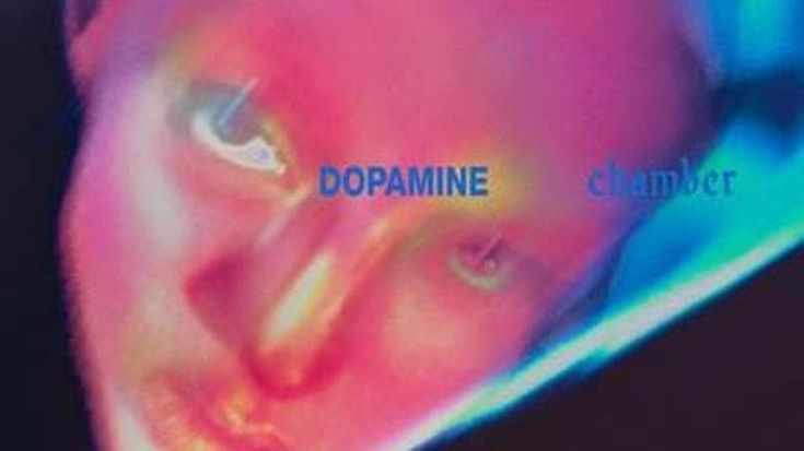 “Dopamine Chamber”, Fontaines D.C. dark side dei Coldplay: così suona la rabbia di una generazione