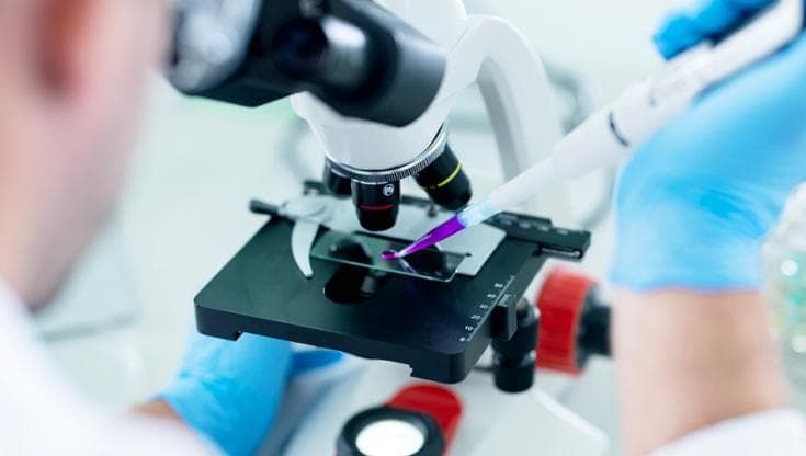 Linfoma follicolare: con la chemio-immunoterapia quasi metà dei pazienti riesce a guarire