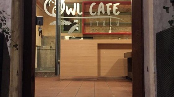 Brescia, minacce di morte degli animalisti ai titolari del primo gufo-bar d'Italia