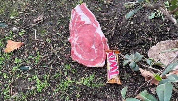 Bari, allarme per i cani sul lungomare: "Fetta di carne con chiodi all'interno, se ingerita potrebbe uccidere"