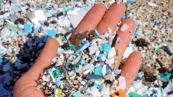Trovate microplastiche anche nell'uomo. "Metà popolazione potrebbe averle"
