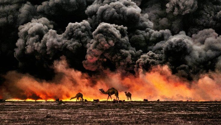 Steve McCurry: "Sicuri di amare gli animali?"