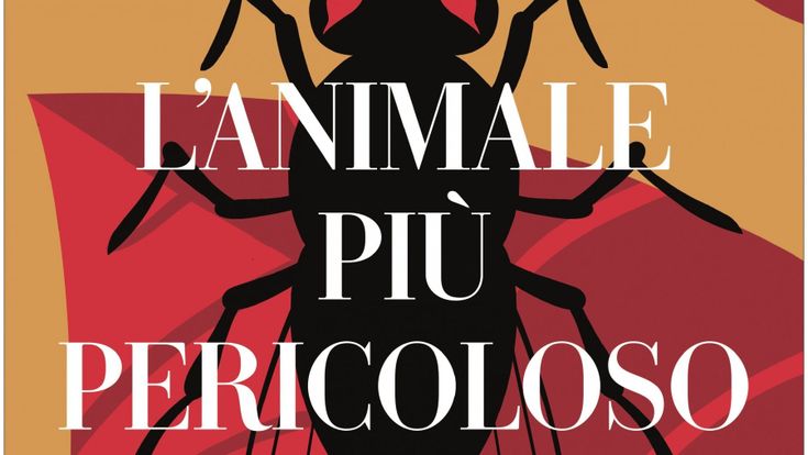 L'animale più pericoloso. Il centro non può reggere