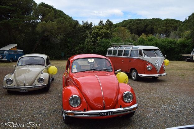 Maggiolino, che festa per il raduno italiano