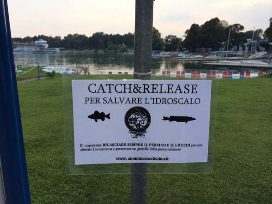 Idroscalo, sos per rilasciare in acqua i pesci appena presi
