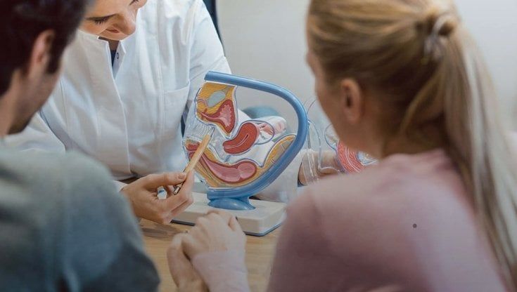Effetto Covid sulla procreazione assistita, l'odissea di Gabriella: "Esami sospesi, da due anni lottiamo per avere un bimbo"
