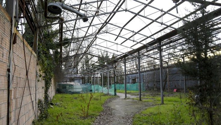 Passo avanti per il parco nell’ex Gover, cento case dove c’erano i Lupi di Toscana