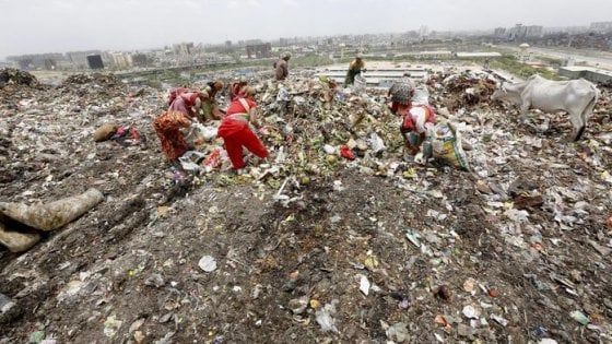 Vicino a Delhi c'è una montagna di rifiuti più alta del Taj Mahal 