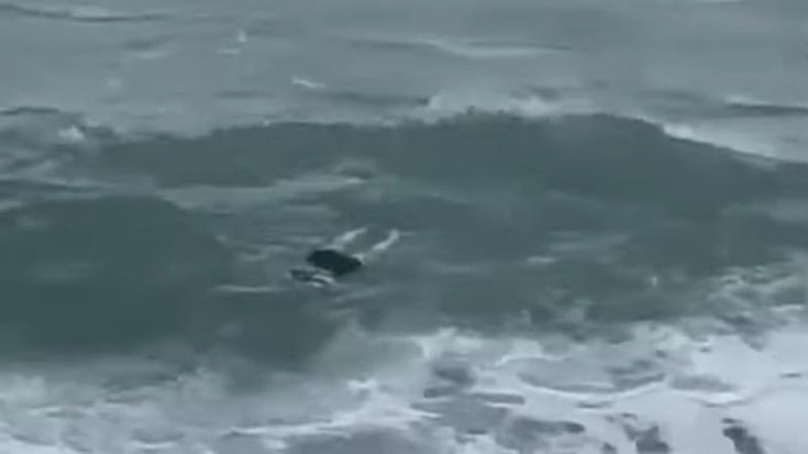 Calabria e Sicilia, le mareggiate trasportano sulla spiaggia più di 15 cadaveri di migranti