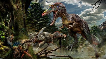 Cina, Pinocchio Rex: scoperta nuova specie di Tirannosauro