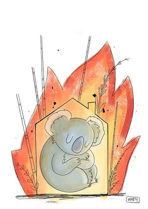 Australia in fiamme, il tributo dell'illustratrice Martina Polverino
