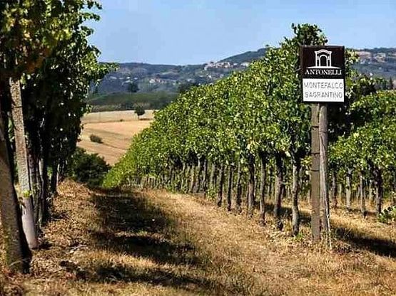 Un calice solidale, il Sagrantino pensa ai terremotati