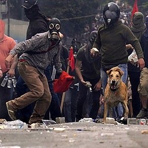 Atene: addio a "Loukanikos", cane black-bloc e anti-Troika