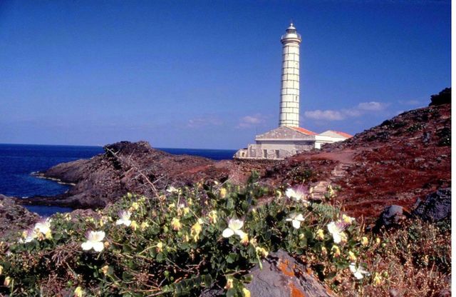 Ustica capitale delle riserve marine
