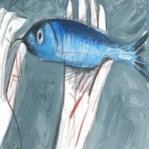 In anteprima il graphic novel su Angelo Vassallo 