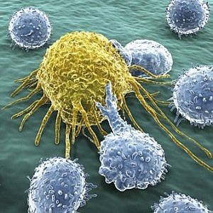 Trovate le "cellule corrotte" che aiutano i tumori 