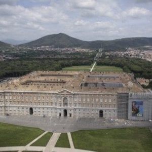 Reggia di Caserta: gli alberi sradicati dal vento diventeranno opere d'artigianato