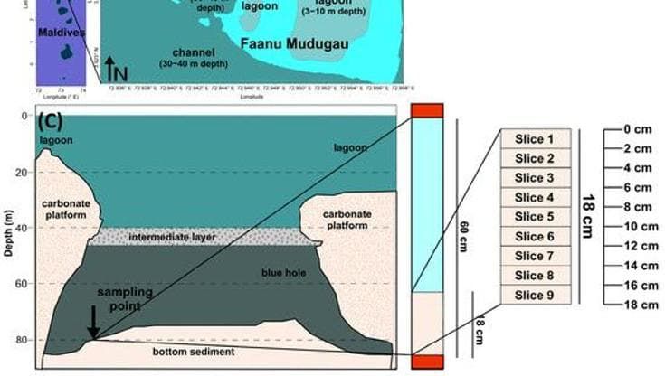 Maldive, uno studio documenta missioni dell’Università di Genova a 82 metri di profondità