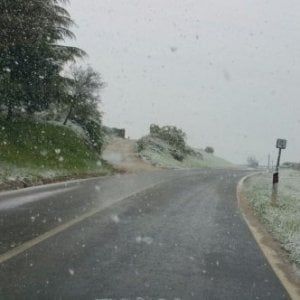 Sannio, pioggia e grandine: disagi e danni alle colture 