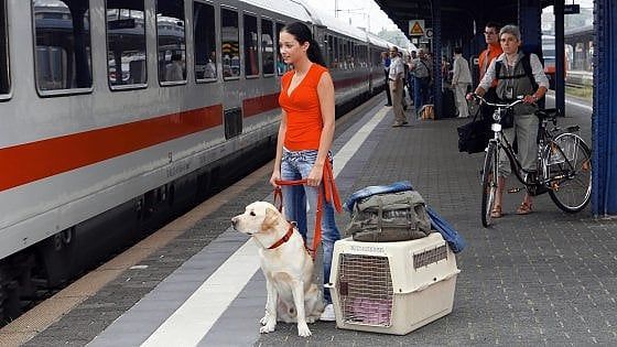 Cani grandi in carrozza a 5 euro. Trenitalia: "Un successo"