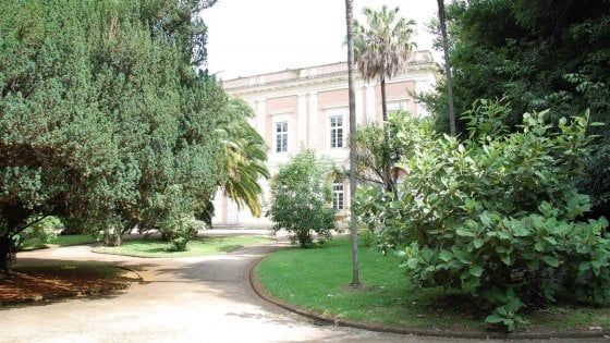 Una scuola di restauro alla Reggia di Caserta, l’ok dell’Accademia 